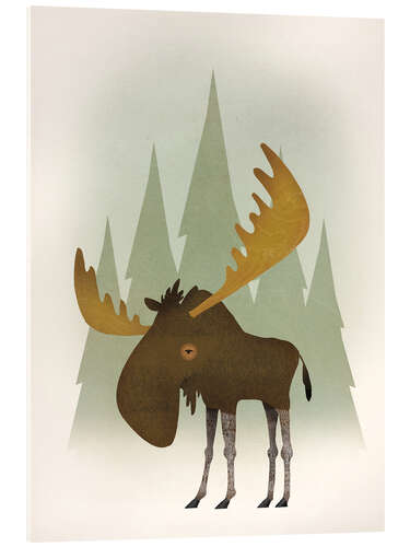 Acrylic print Forest moose