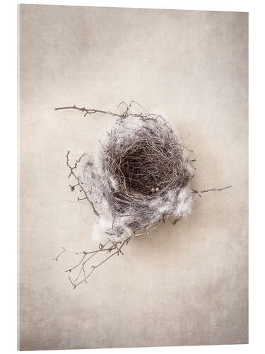 Acrylic print Bird's nest III