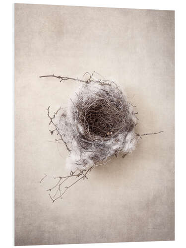 Foam board print Bird's nest III