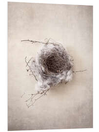 Foam board print Bird's nest III