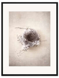 Gerahmter Kunstdruck Vogelnest III