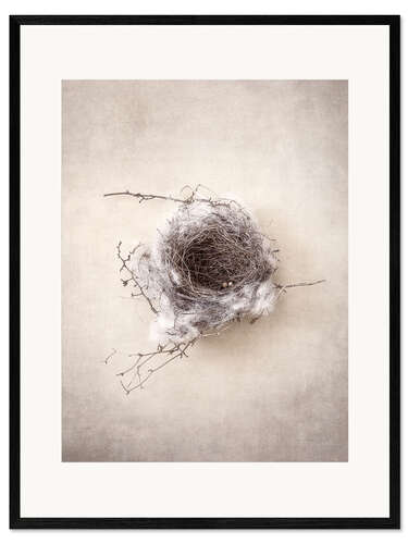 Inramat konsttryck Bird's nest III