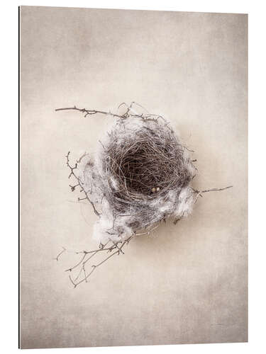 Gallery print Bird's nest III