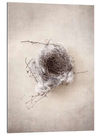 Gallery print Bird&#039;s nest III