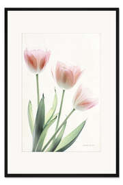 Gerahmter Kunstdruck Light and Bright Floral II