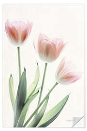 Selvklebende plakat Light and Bright Floral II