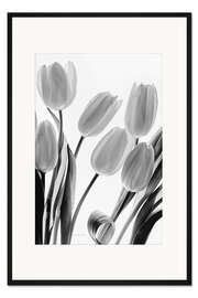 Gerahmter Kunstdruck Shadows and Light I