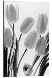 Magnettafel Shadows and Light I