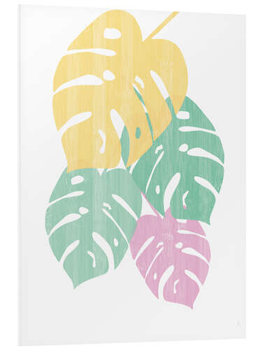 Foam board print Monstera III Bright on White