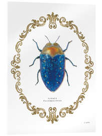 Acrylic print Adorning Coleoptera V