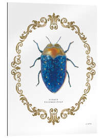 Gallery print Adorning Coleoptera V