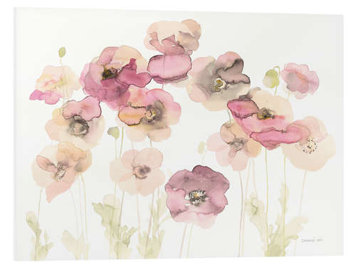 Foam board print Delicate Poppies