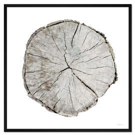 Gerahmter Kunstdruck Woodland Years I on White