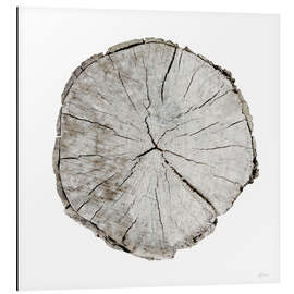 Magnettafel Woodland Years I on White