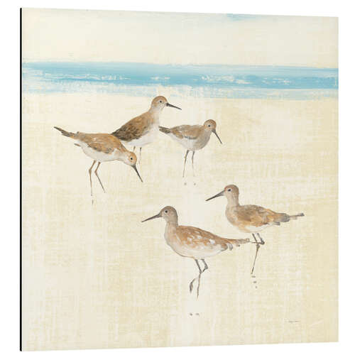 Alumiinitaulu Sandpipers Square I