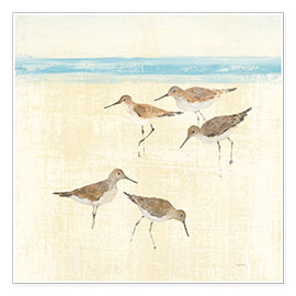 Poster Sandpipers Square II 