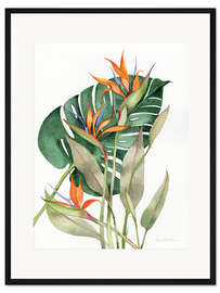 Gerahmter Kunstdruck Botanische Paradiesvögel