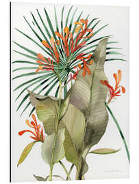 Aluminium print Botanical Flame Lilies