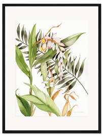 Gerahmter Kunstdruck Botanical Shell Ginger