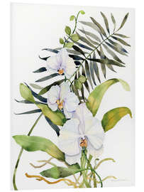 Foam board print Botanical Phalaenopsis