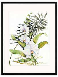 Gerahmter Kunstdruck Botanical Phalaenopsis