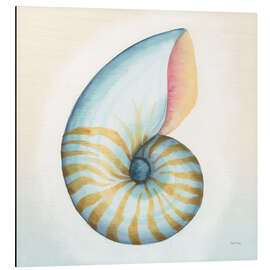 Magnettafel Nautilus