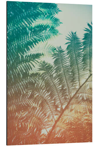 Aluminium print Fern 3