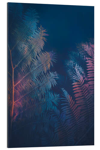 Galleritryck Abstract Fern