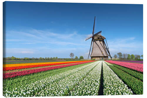 Canvas print Flowers and windmill