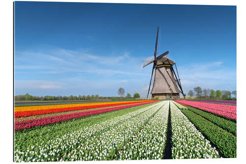 Gallery print Flowers and windmill