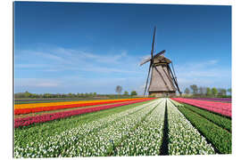 Gallery print Flowers and windmill