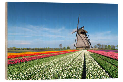 Obraz na drewnie Flowers and windmill