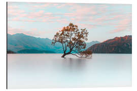 Aluminium print The wanaka tree