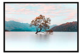 Gerahmter Kunstdruck Der Wanaka Baum