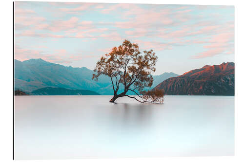 Gallery print Drzewo Wanaka