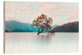 Trebilde The wanaka tree