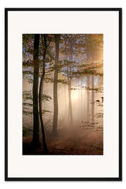 Gerahmter Kunstdruck Herbstwald im Nebel