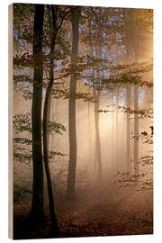 Wood print Autumn forest in the fog