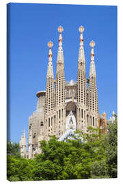 Stampa su tela  La Sagrada Familia a Barcellona - Neale Clarke