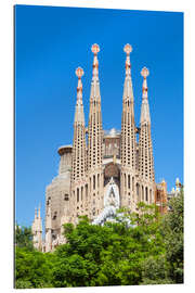 Tableau en plexi-alu La Sagrada Familia à Barcelone