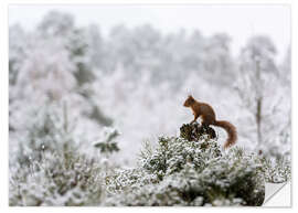 Selvklebende plakat Squirrel on a tree stump