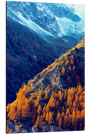 Aluminium print A paraglider flying in autumn