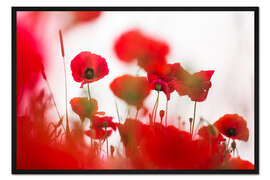 Gerahmter Kunstdruck Oft unsichtbare Schönheit