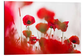 Magnettafel Oft unsichtbare Schönheit