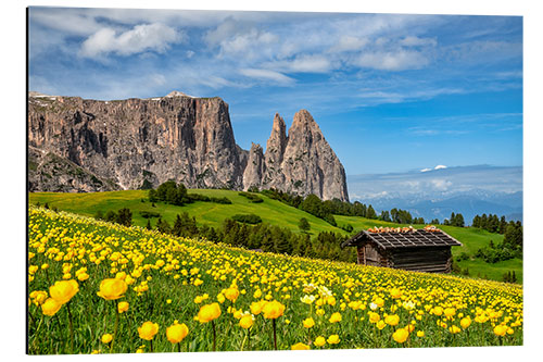 Quadro em alumínio Spring on the Alpe di Siusi in South Tyrol