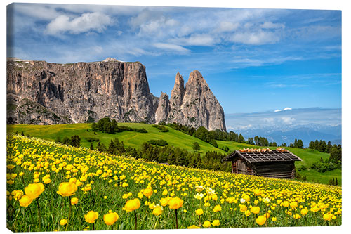 Leinwandbild Frühling auf der Seiser Alm in Südtirol