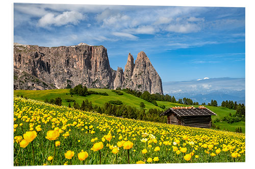 Tableau en PVC Printemps sur l'Alpe de Siusi au Tyrol du Sud