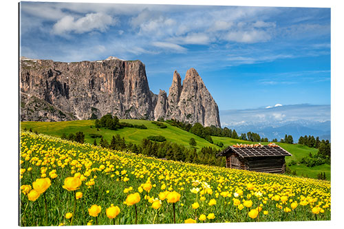 Gallery print Spring on the Alpe di Siusi in South Tyrol