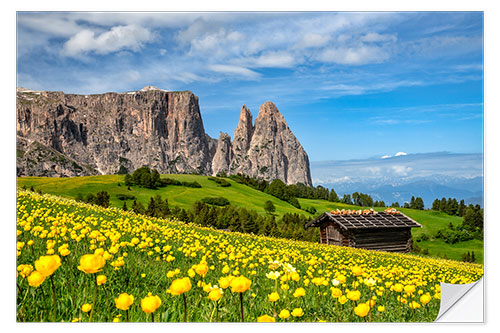 Sticker mural Printemps sur l'Alpe de Siusi au Tyrol du Sud