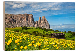 Wood print Spring on the Alpe di Siusi in South Tyrol